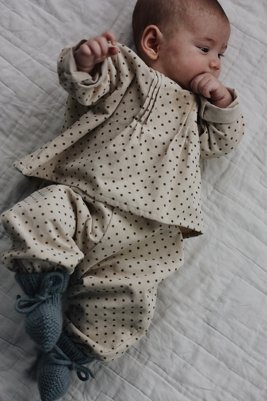 Pixi pants brown dot