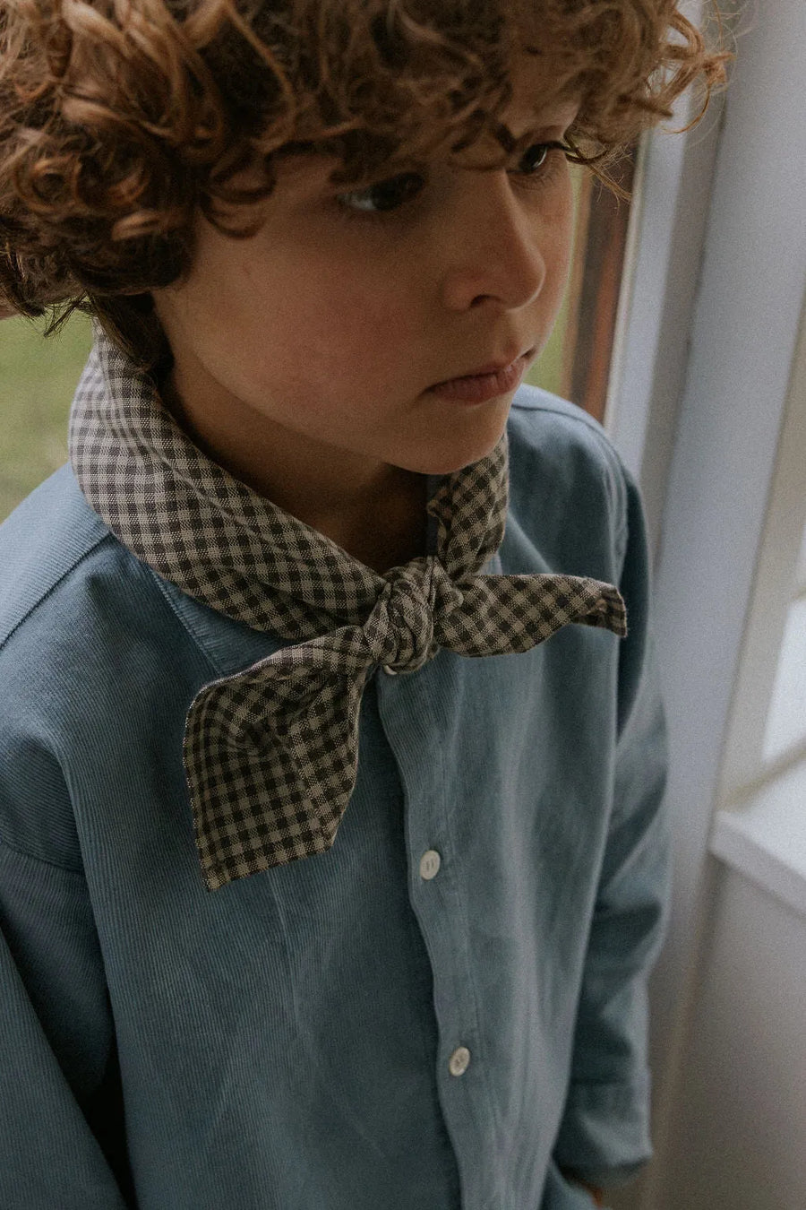 Vera scarf forest check