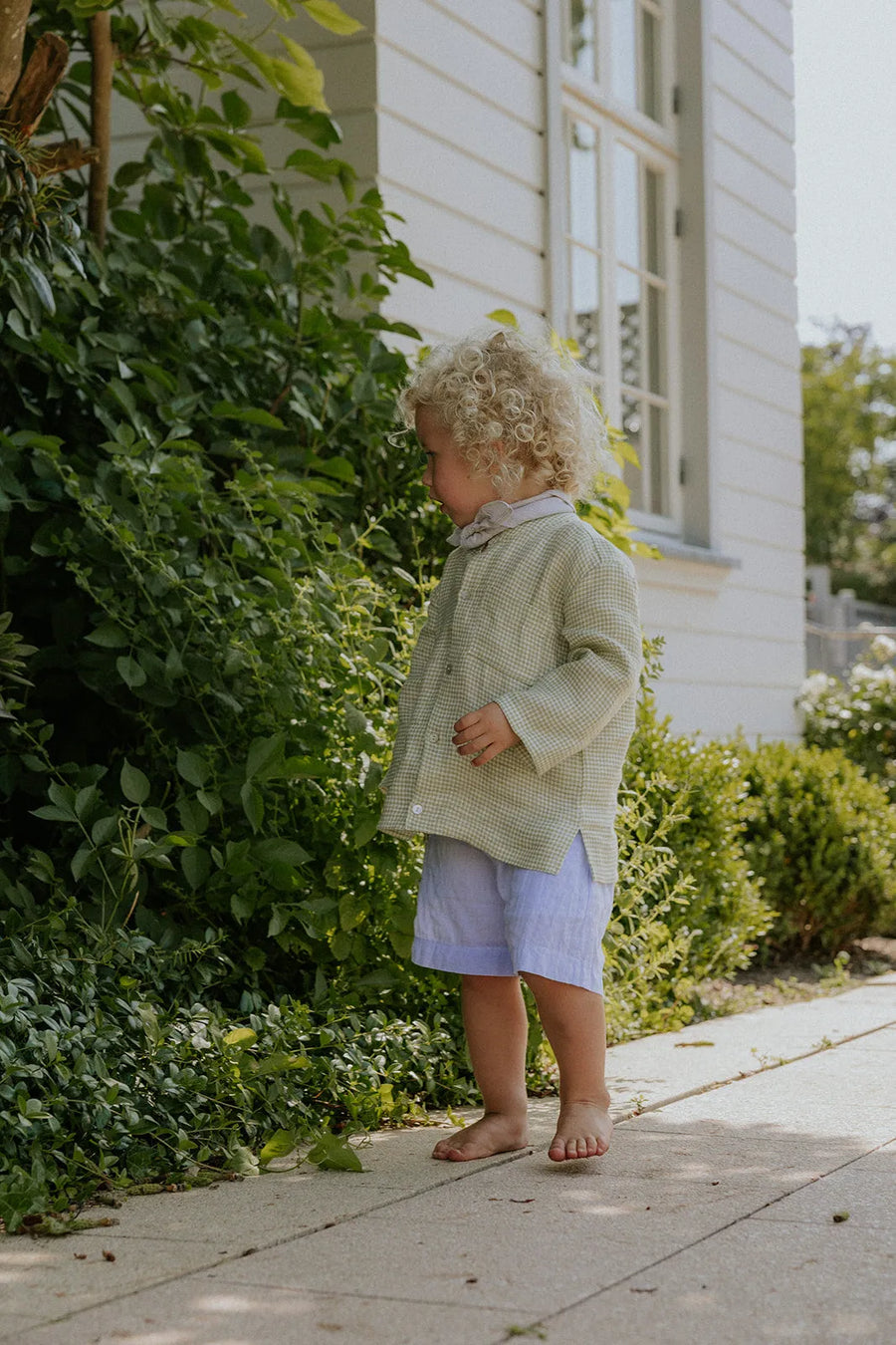<tc>Andrea shorts saltwater</tc>